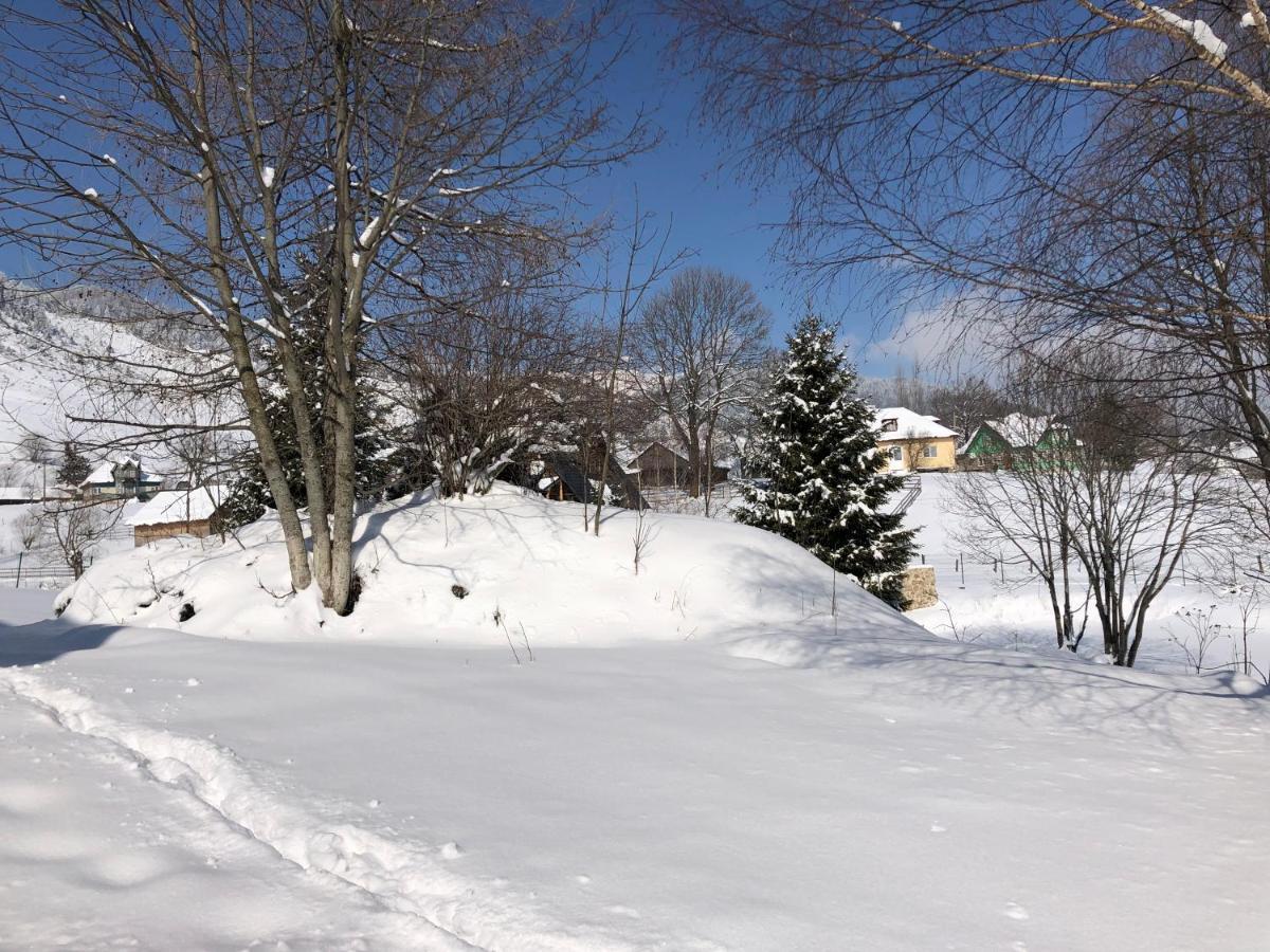 Domeniul Valea Lupilor- Pensiunea Valea Cu Struti Şirnea Buitenkant foto