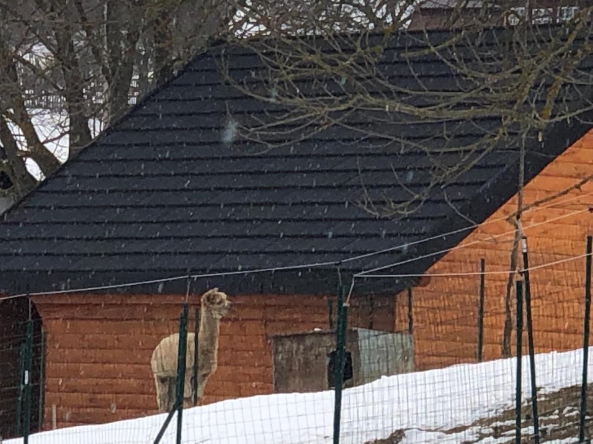 Domeniul Valea Lupilor- Pensiunea Valea Cu Struti Şirnea Buitenkant foto